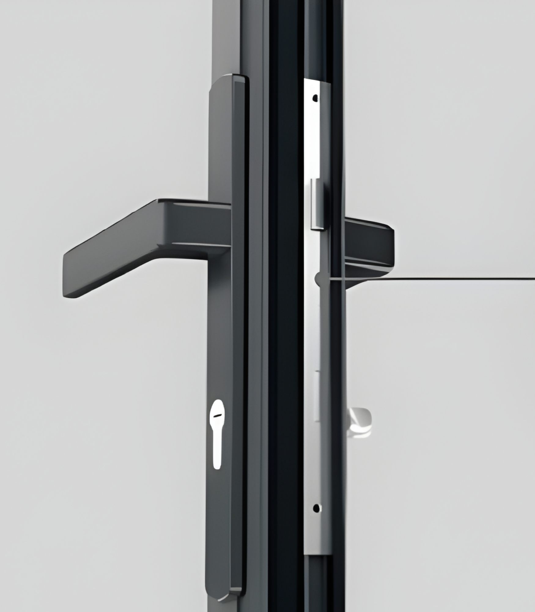 VLX 100 Swing / Entry Door in Fort Lauderdale, FL | TruePane Windows & Doors - detail 5